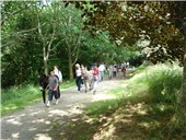 Walking in the Forêt Domaniale de Camors